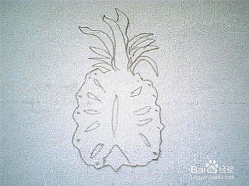 简笔画切开的菠萝这样画
