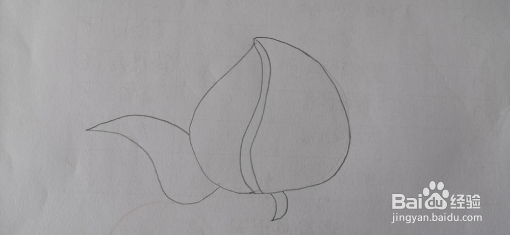 如何画寿桃简笔画？