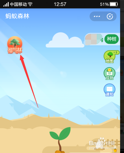 支付宝浇福气林获得的新年签有什么用