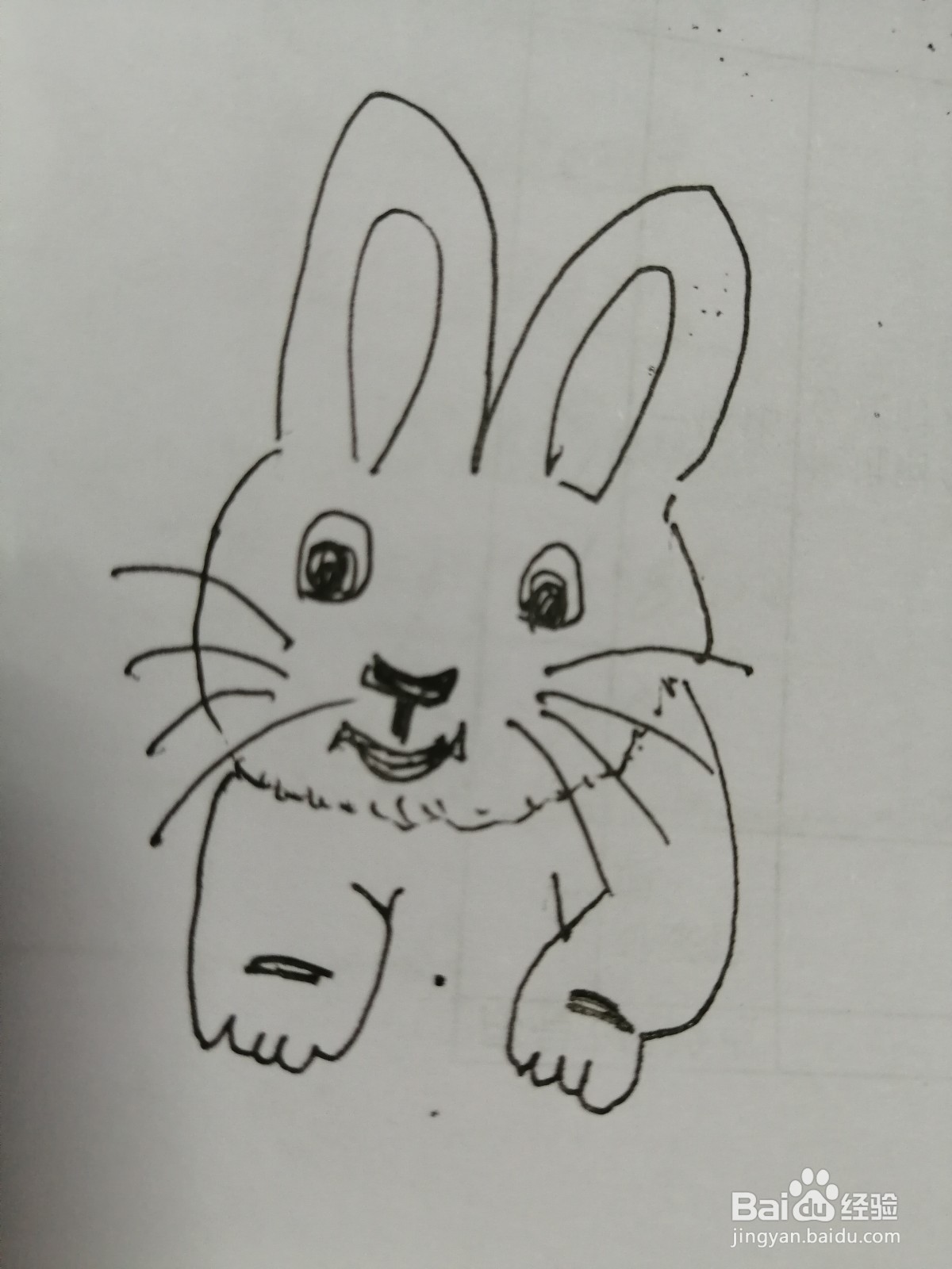 简笔画小白兔怎么画