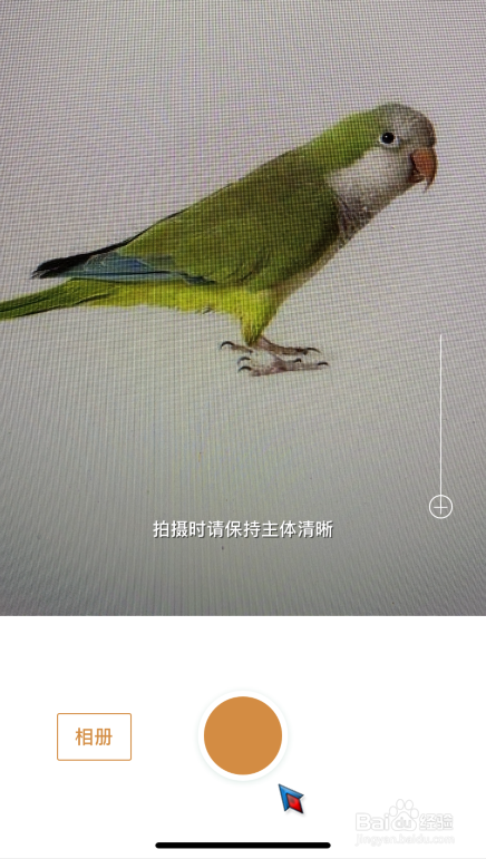 怎么使用手机拍照识别鸟类名称