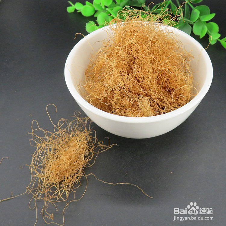 女性减肥方法的中医食疗