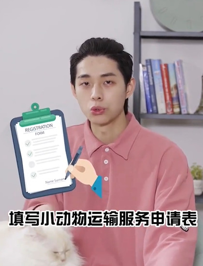 如何正确空运一只猫