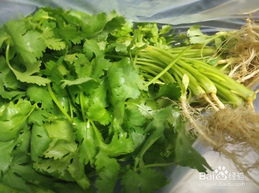 墨鱼丸鸡蛋元荽煮米粉怎么做？