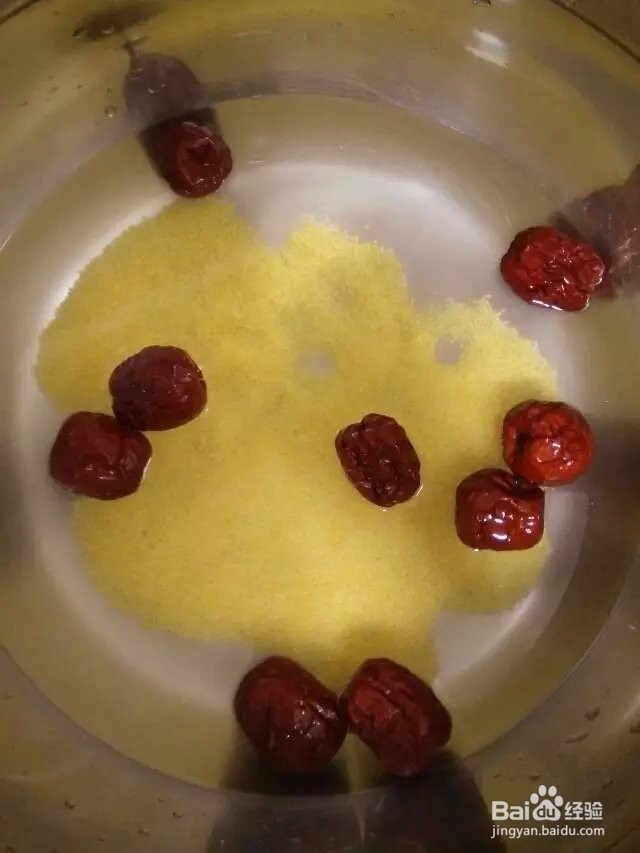小米红枣营养粥，手把手教你做小米粥，简单易学