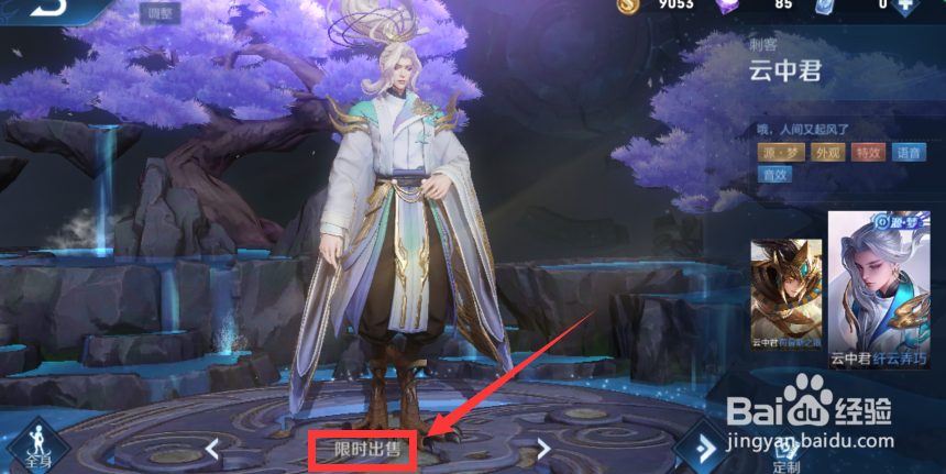 王者荣耀云中君新皮肤怎么买