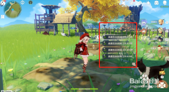 原神塞西莉亚花怎么获得