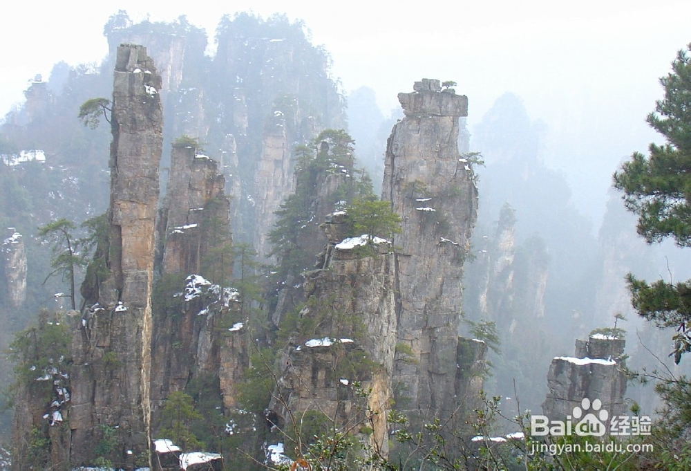 张家界纯玩自助游攻略