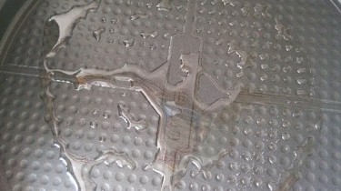 蒜香烤虾的做法