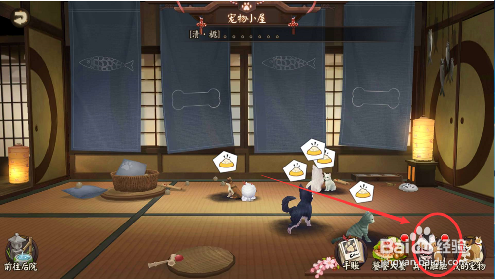 阴阳师怎么给收养的小宠物喂食