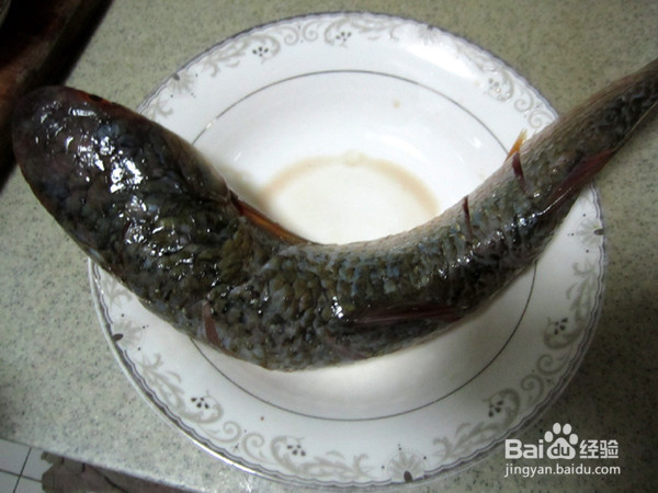 红烧梭鱼的制作方法