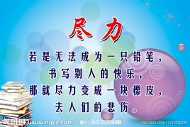 中考提高英语写作分数的50个词组