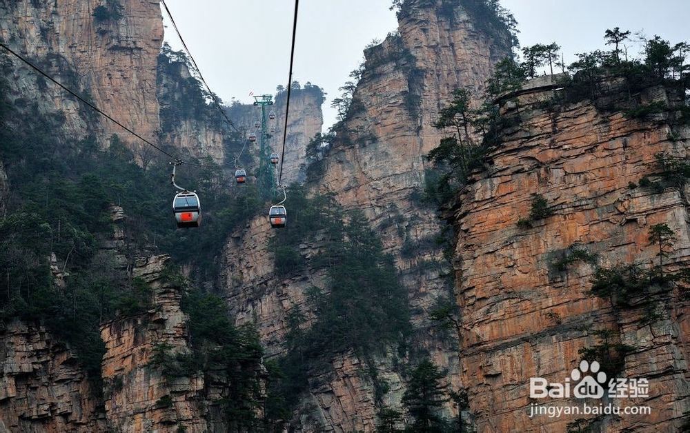 淄博到张家界旅游攻略