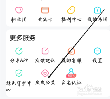 皮皮怎样进行查看皮皮公益