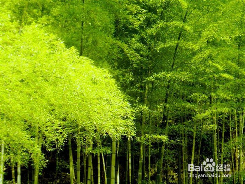 如何挽回前任？【有效】