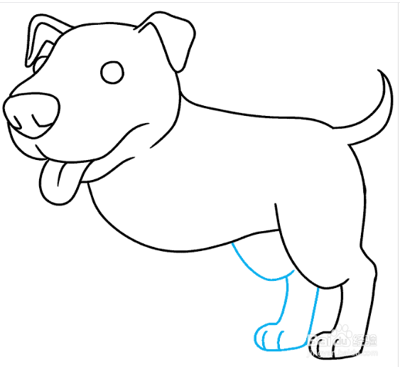 如何画可爱的苏格兰犬?