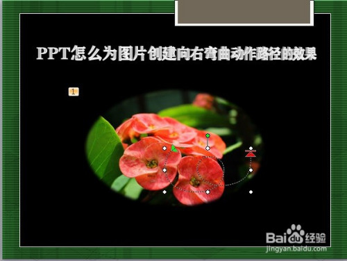 ppt怎么为图片创建向右弯曲动作路径的效果