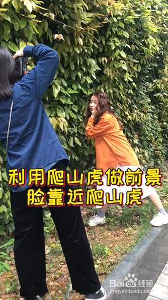 爬山虎如何拍出复古大片