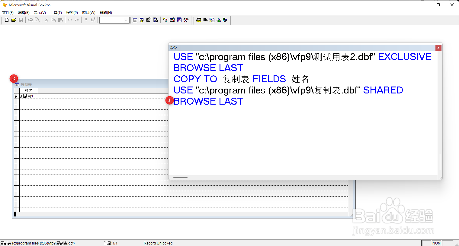 VF9.0复制表命令