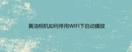 黄油相机如何停用WIFI下自动播放