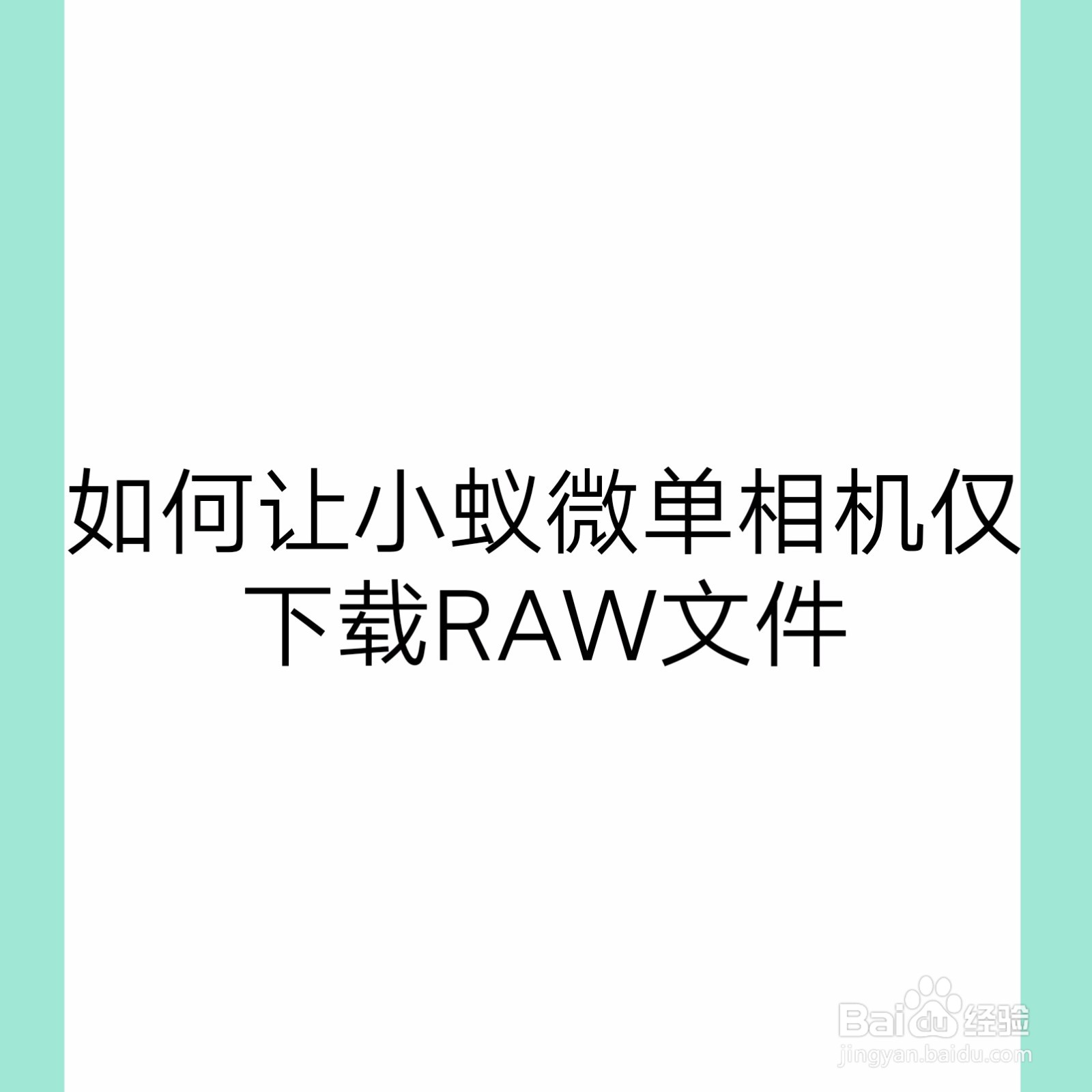 如何让小蚁微单相机仅下载RAW文件