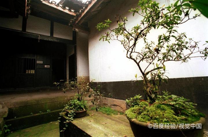 栀子花冬天怎么养才能安全过冬?