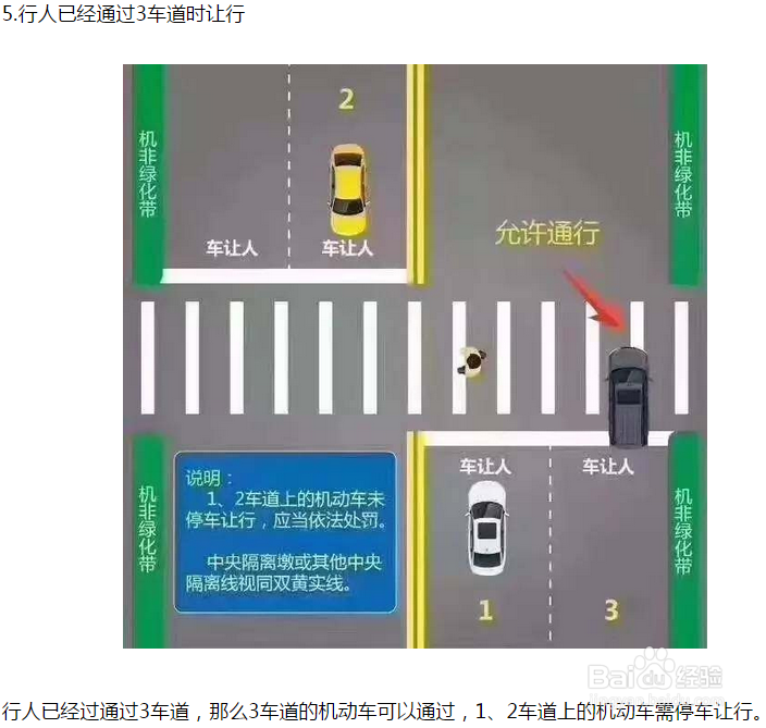 机动车怎么礼让行人？