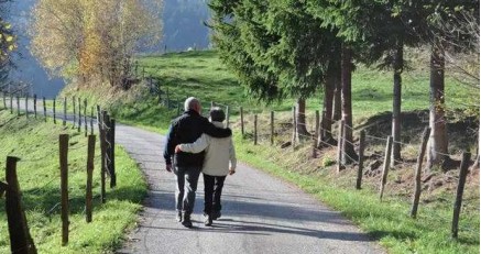 生熟三七粉的使用区别