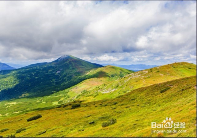 喜欢和家人去旅行吗