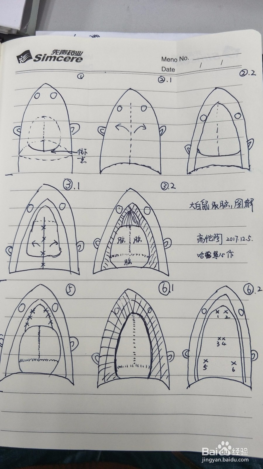 大白鼠取脑组织步骤