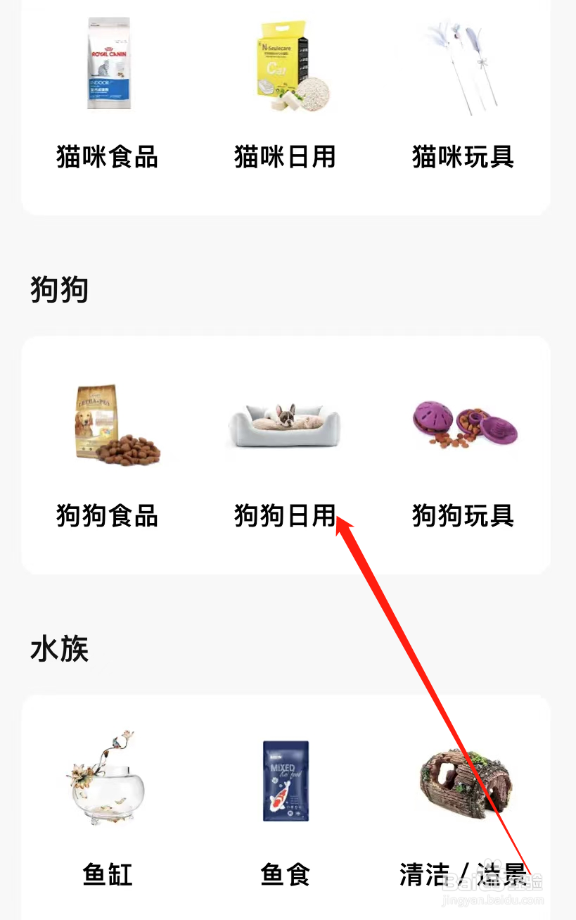 转转查看狗狗日用