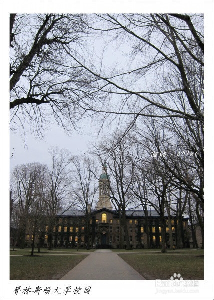 学院街攻略：[249]普林斯顿申请程序及攻略