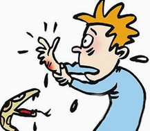 毒蛇咬伤怎么办