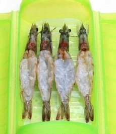 蒜蓉开边虾的做法