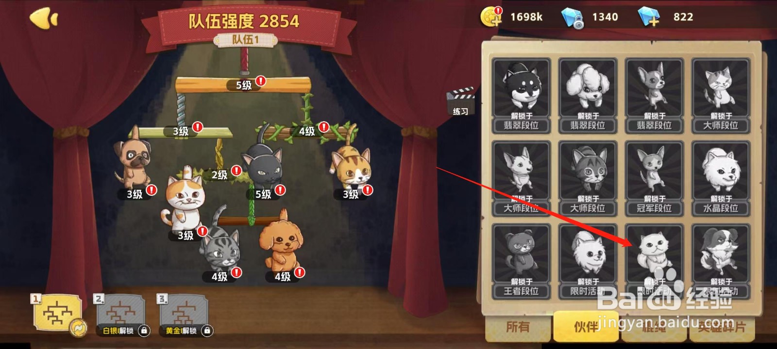 狗狗呼叫喵星怎样查看波斯猫的羁绊