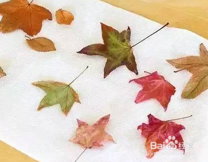 树叶风铃制作步骤