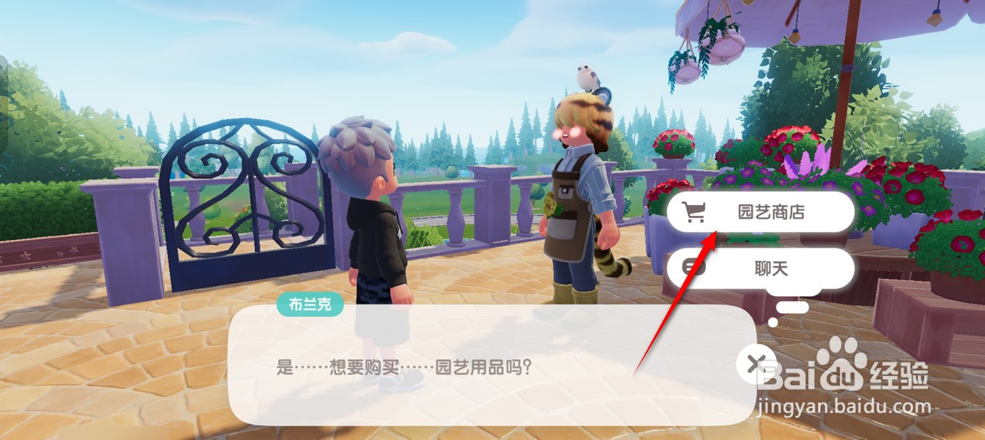 心动小镇如何购得南瓜种子
