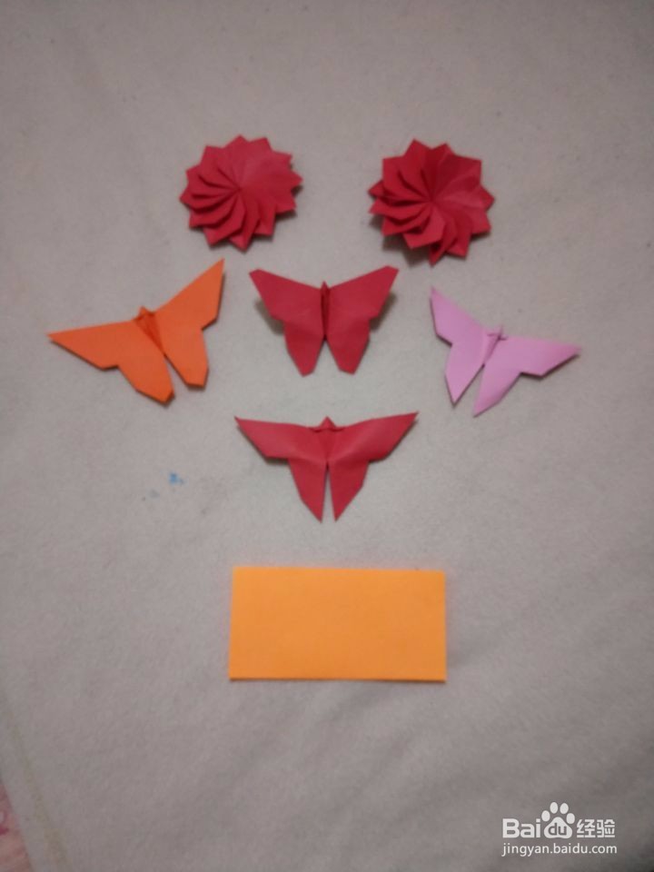 工艺美术馆：蝴蝶花园。