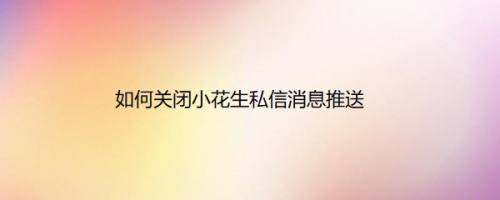 如何关闭小花生私信消息推送
