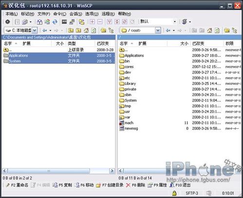 iPhone各个固件中文汉化通用操作教程