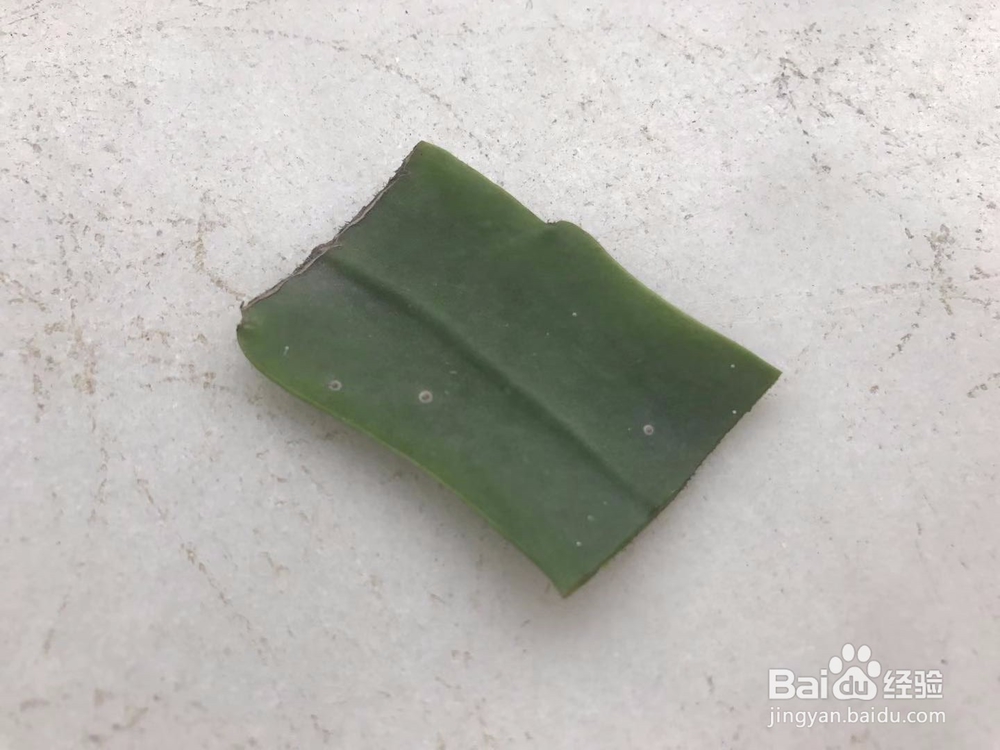 昙花怎么分株繁殖？昙花怎么种？