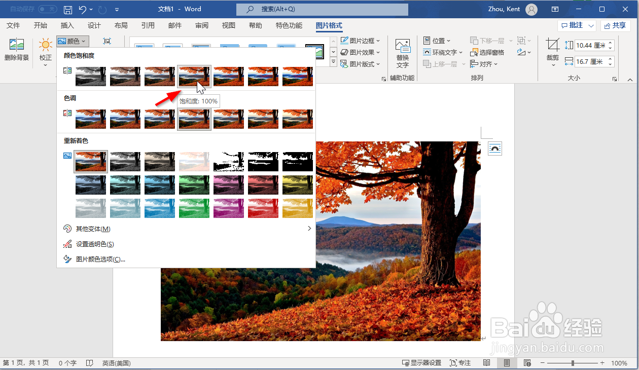 如何在Microsoft Office 365中设置图片格式