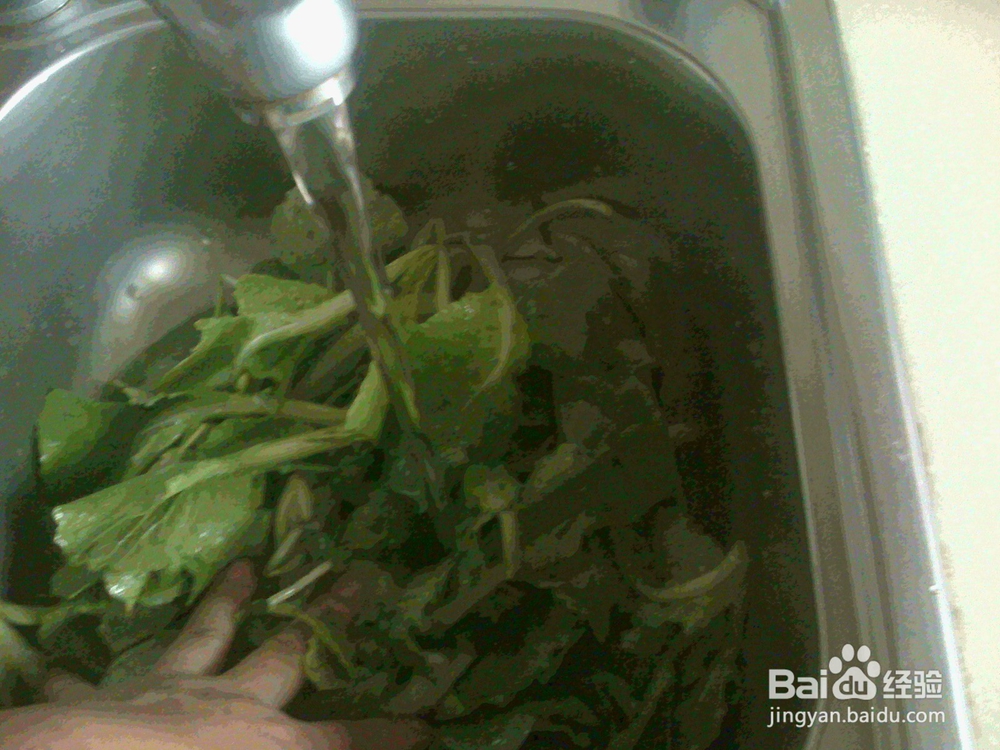 #美食#老年人怎样做好小萝卜菜辣椒酱的备料