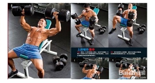 给练肌肉的朋友们解释一下什么是RM