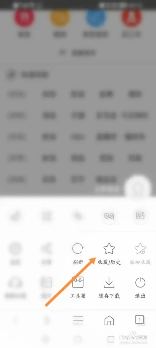 私密浏览器APP怎么清除全部历史记录