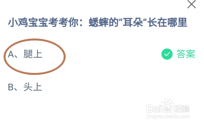 蚂蚁庄园2024年8月31日的最新答案是什么呢