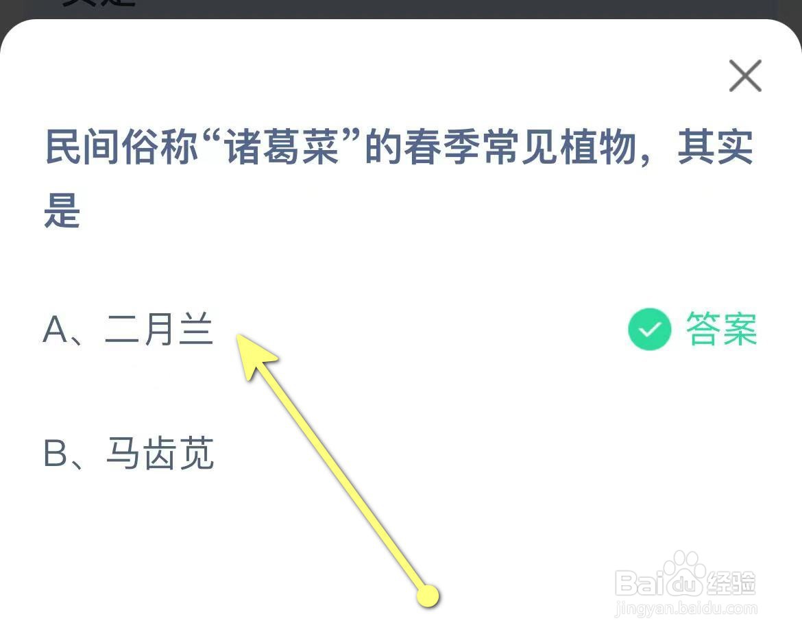 蚂蚁庄园民间俗称“诸葛菜”的春季常见植物是