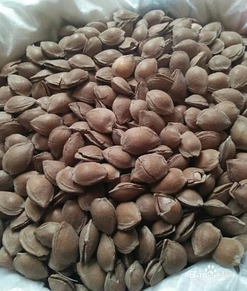 蔚县的特产有什么？