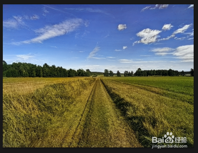 PS神奇的黑白照片上色技术