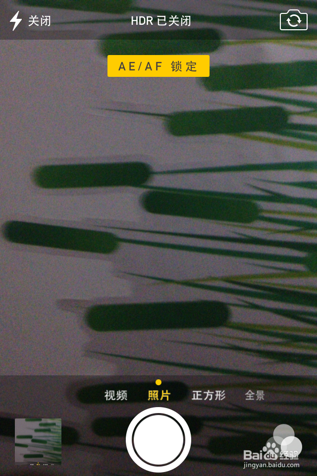 iphone技巧　如何拍摄背景虚化效果